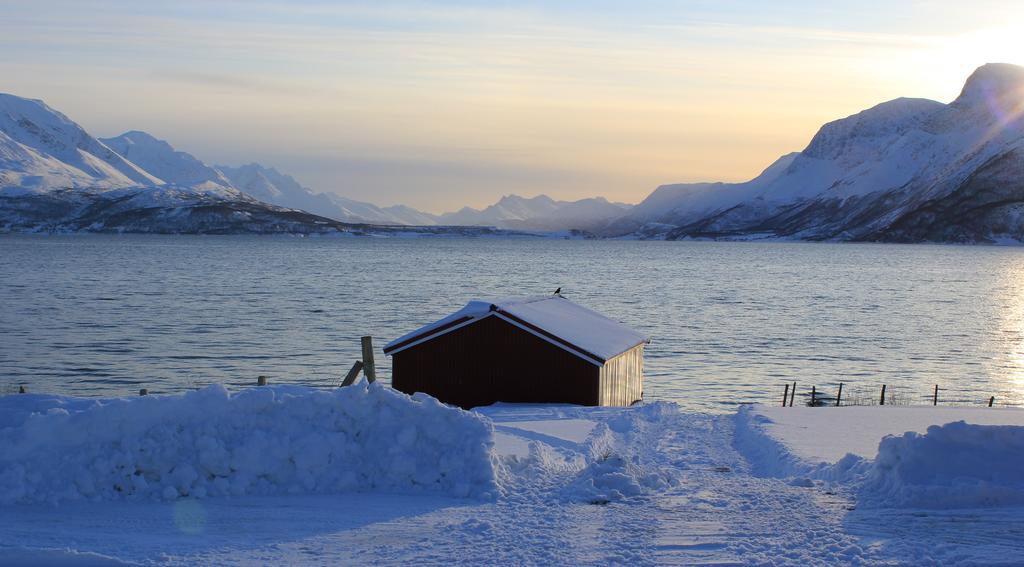 Solheim Fritidsgård Villa Svensby Exteriör bild